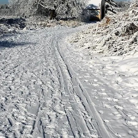 Skiapartmany Апартаменты