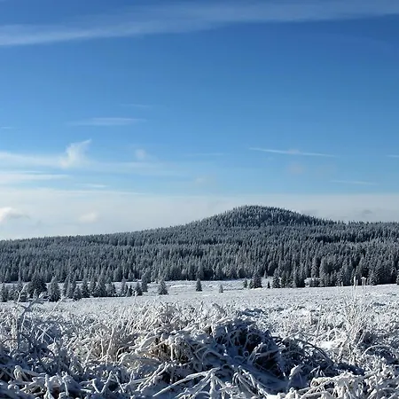 Skiapartmany *