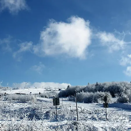 Skiapartmany