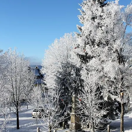 Skiapartmany Апартаменты Божий Дар
